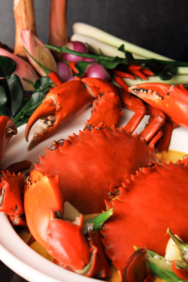 Whole red crab